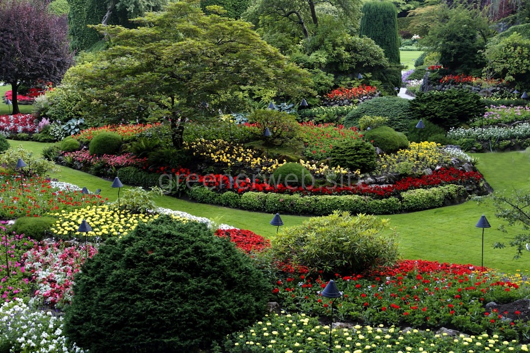 Garden Care