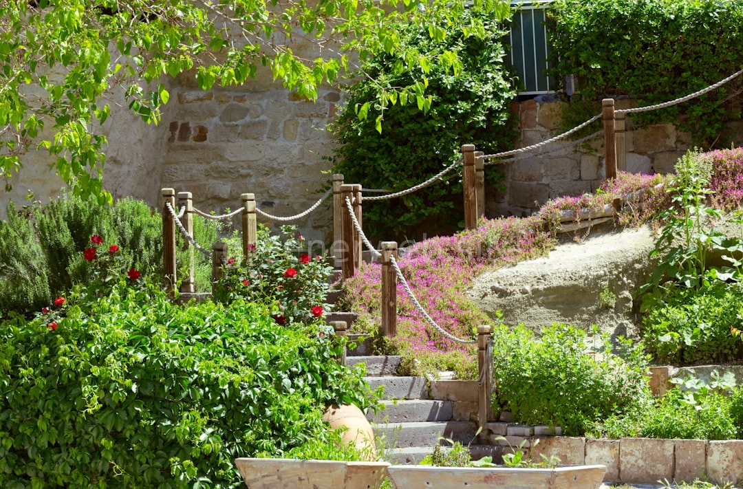 Lush Garden Design