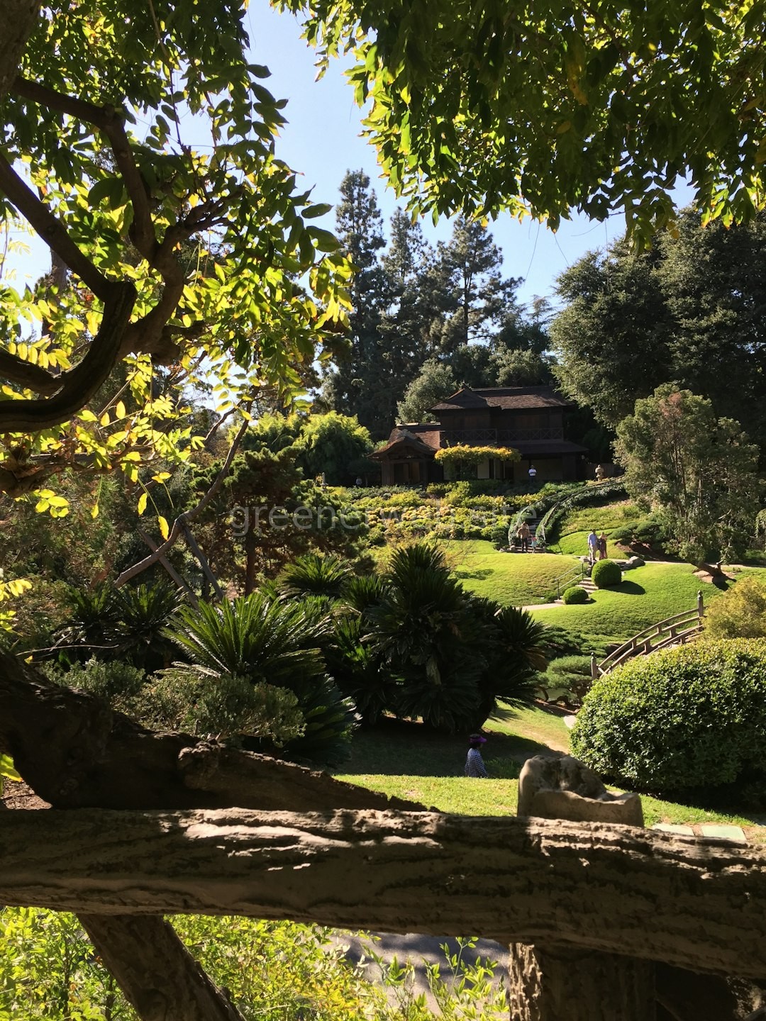 Garden Reel 2