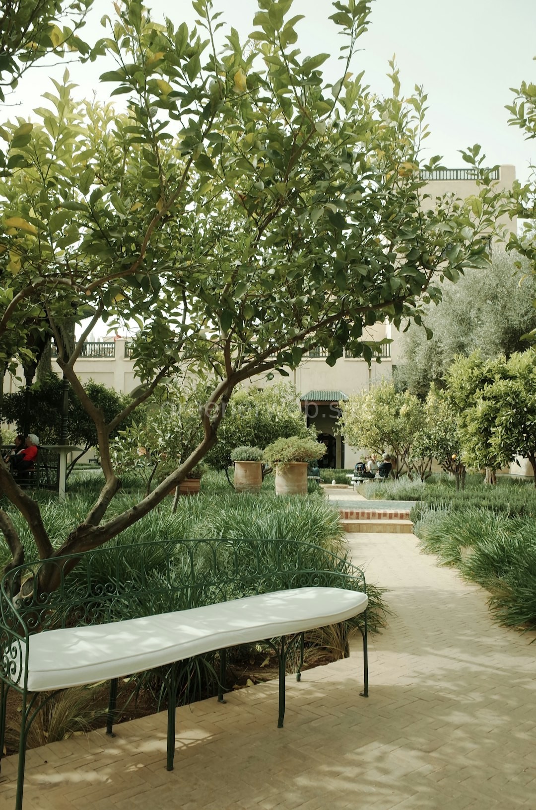 Landscape Design