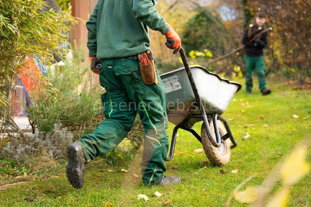 Main Orchard