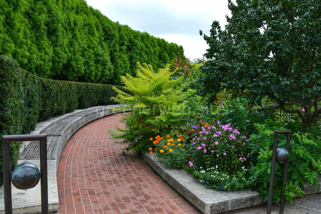 Landscape Design